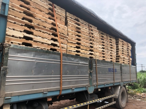 THANH LÝ PALLET GỖ BÌNH DƯƠNG