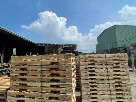 Pallet Gỗ Tràm Xe Nâng 4 Hướng ( 580 x 1600 x 120mm )