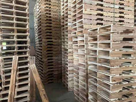 Pallet Tràm Đố Khuyết Xe Nâng 4 Hướng( 650 * 1800* 120mm )