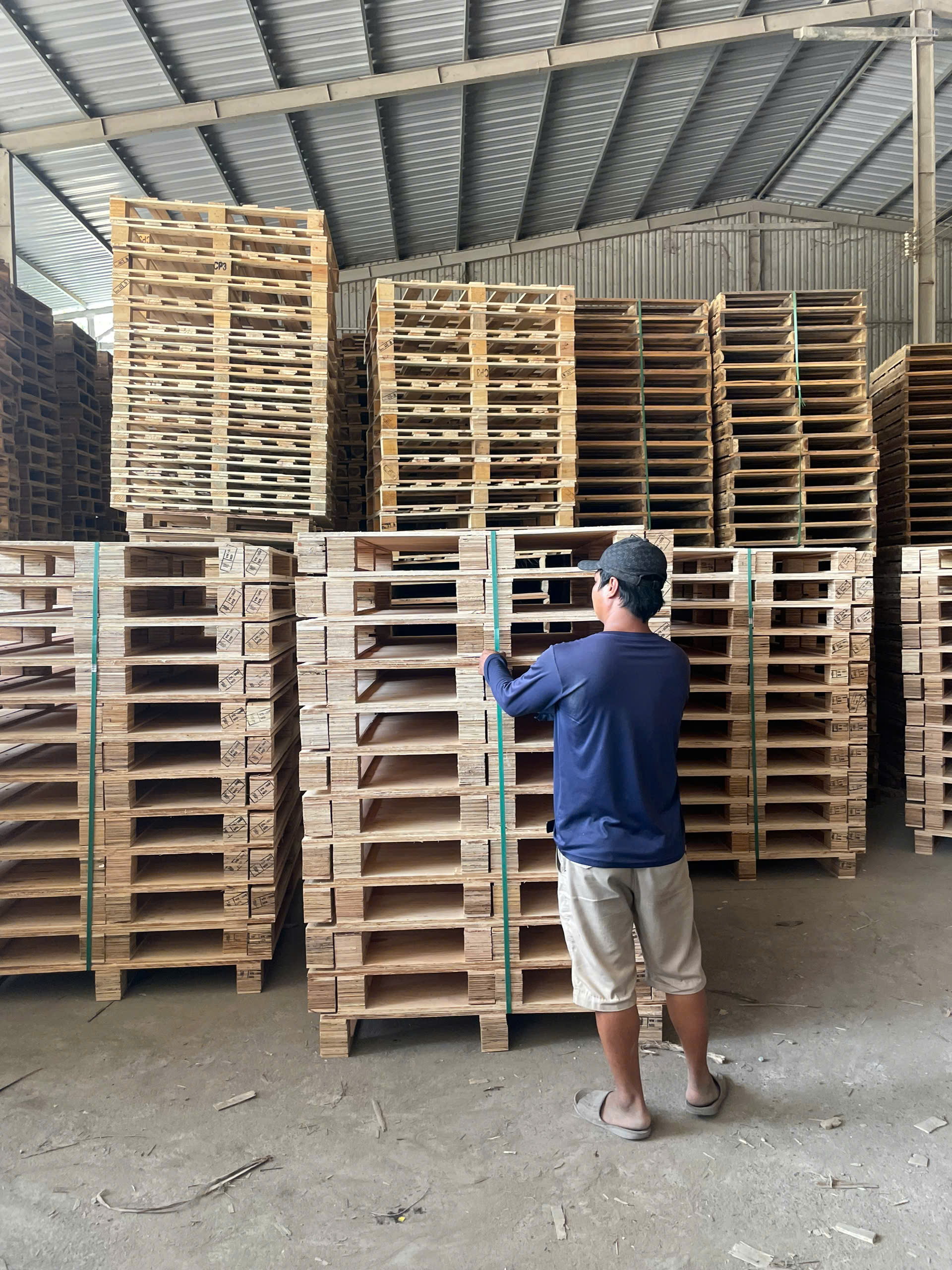 PALLET TÂN UYÊN | Pallet Giá Rẻ Bình Dương| Pallet Dĩ An